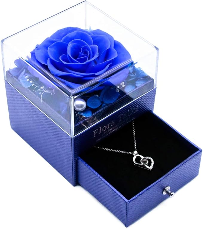 Heart Shaped Necklace with GIft Box